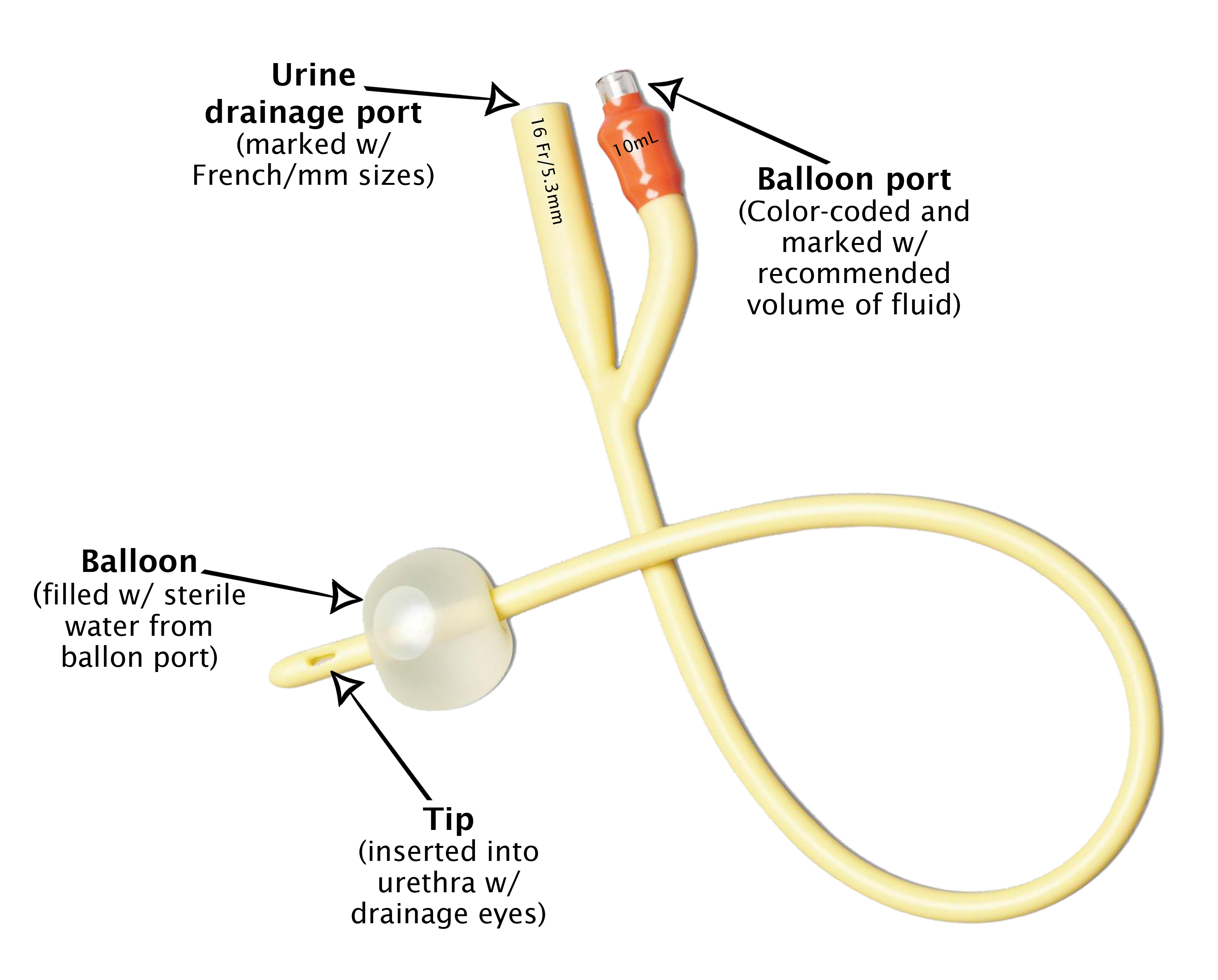 details and specific parts of a Foley catheter
