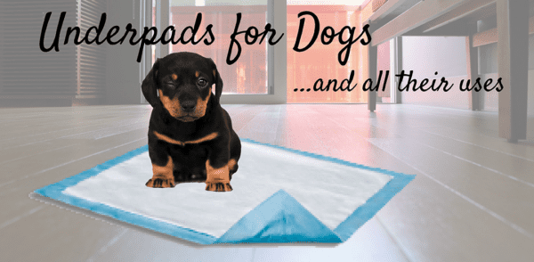 Underpads for Dogs and All Their Uses