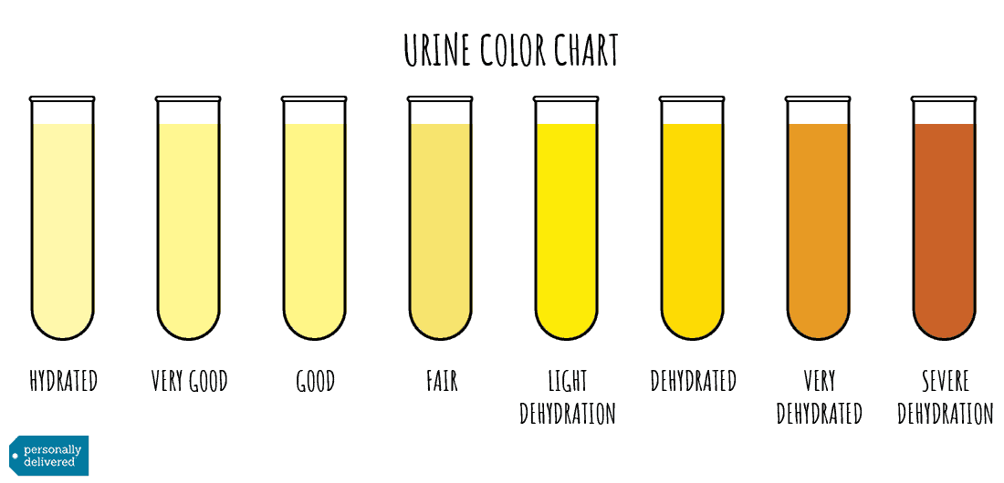 urine color chart