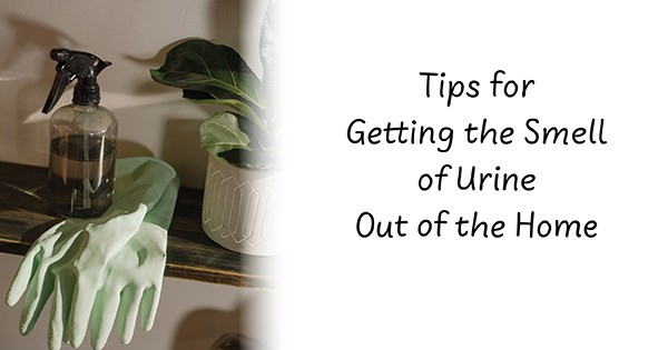 Homemade Odor Eliminator Tips to Get Rid of Urine Smell in the House