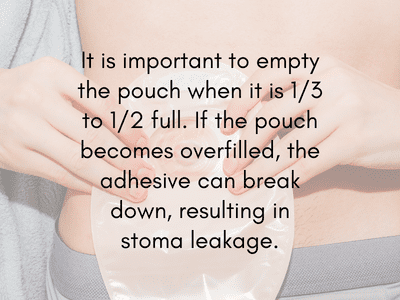 It is important to empty the pouch when it is one-third to one-half full. If left too long, the pouch may become overfilled, causing the adhesive to break down and resulting in stoma leakage.