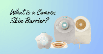 Learn about what a convex skin barrier is and the benefits of convexity.